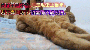 不是好色6.gif