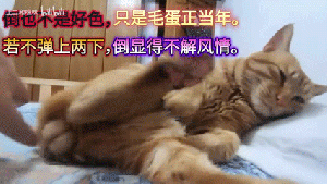 不是好色3.gif