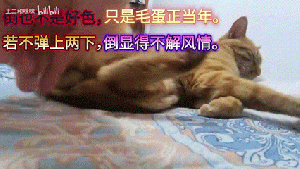 不是好色5.gif